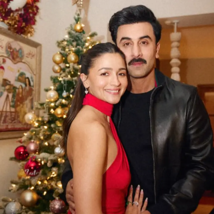 Description of the pic