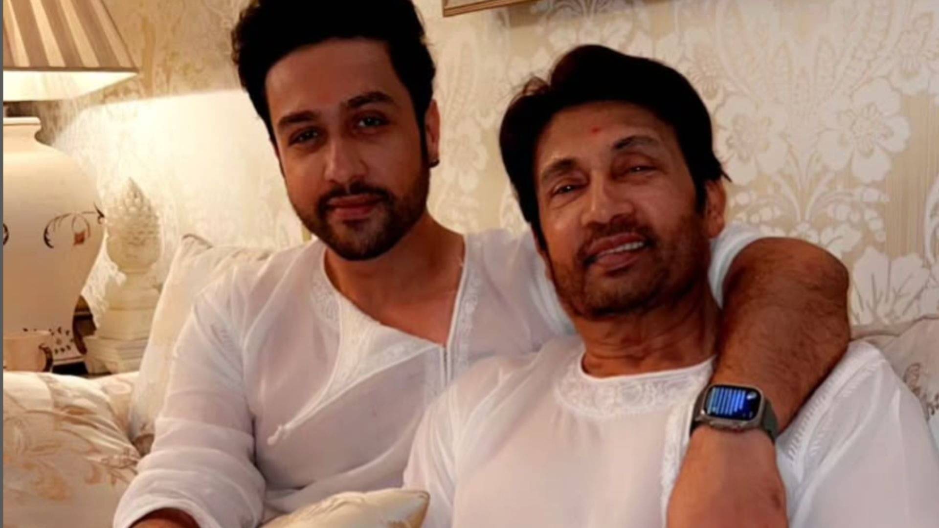 Description of the pic