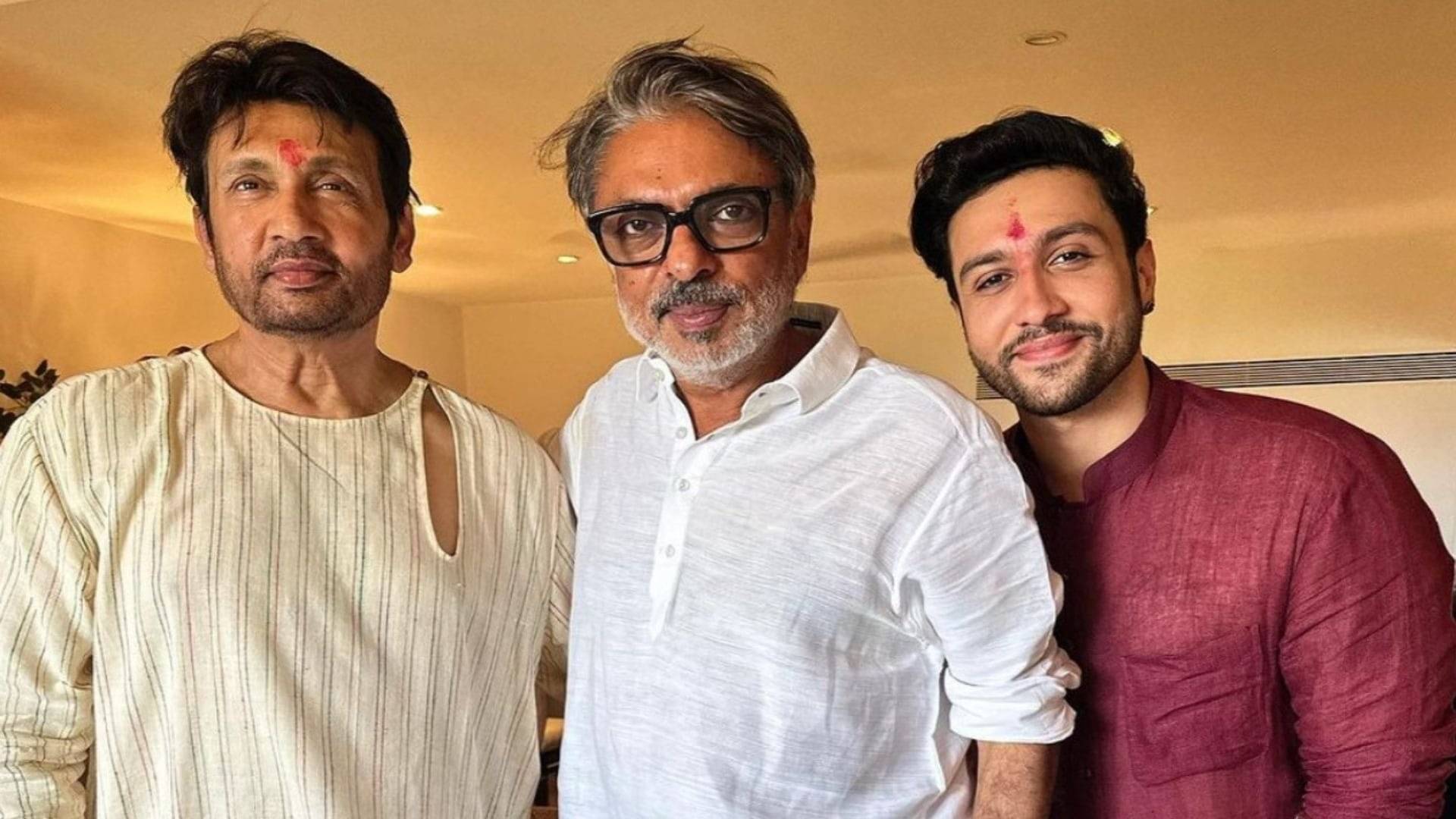 Description of the pic