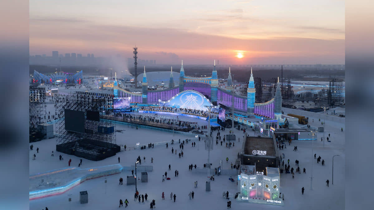 Description of the pic