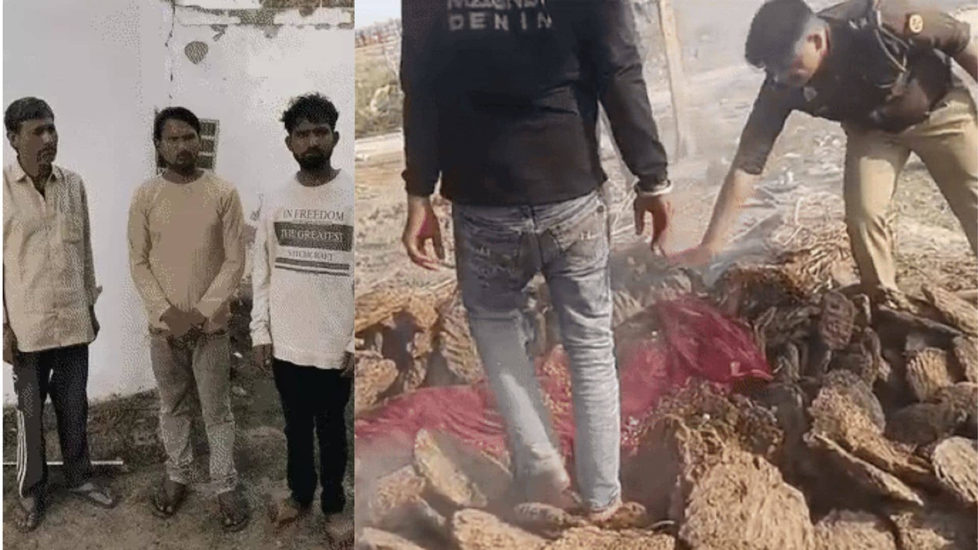 agra news sana love marriage ajeet singh suspicious death