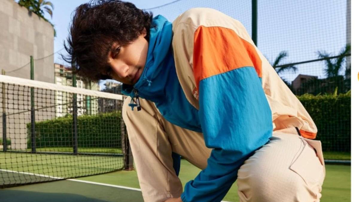 Description of the pic