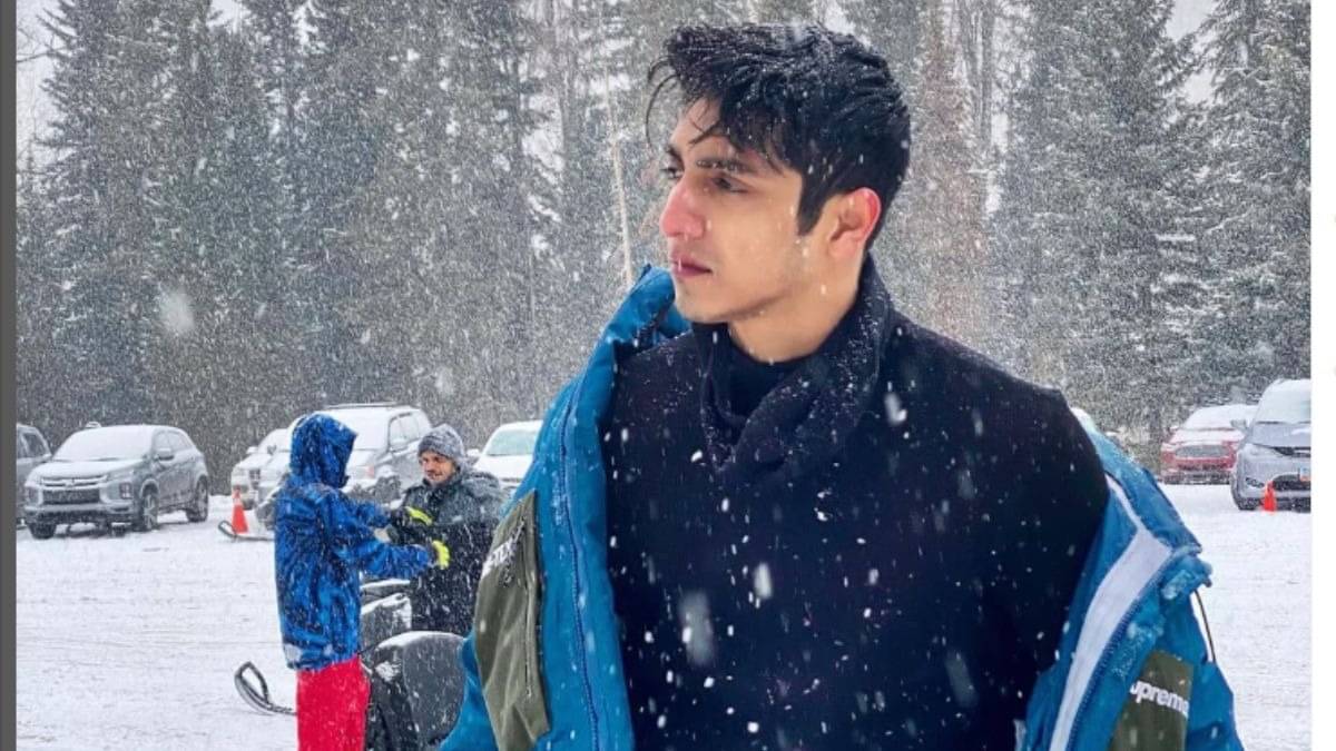 Description of the pic