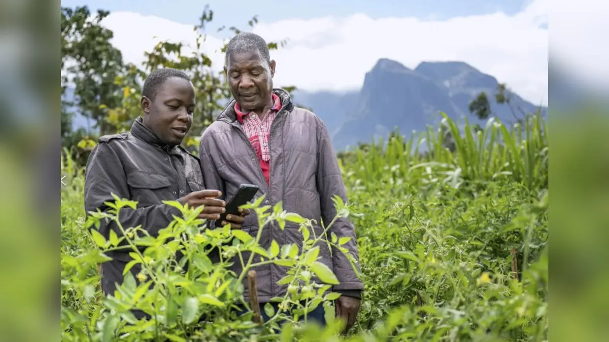 AI Is Now Helping Farmers Rebuild After Climate Disasters: This African Country Sets Example. Know How AI Is Now Helping Farmers Rebuild After Climate Disasters: This African Country Sets Example. Know How