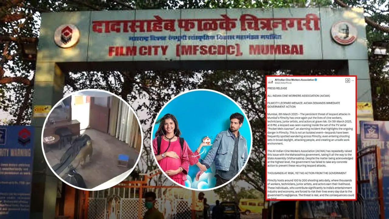 Leopard Enters TV Show Set In Mumbai's Film City, AICWA Demands 'Immediate Intervention' By Maharashtra Gov To Ensure Safety AICWA demands governement action on repeated leopard attacks in Film City, Mumbai