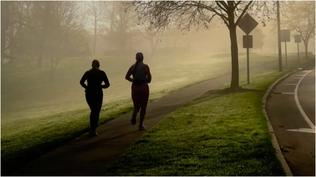 Can Air Pollution Reverse The Benefits Of Exercising? Air pollution can affect health in many ways