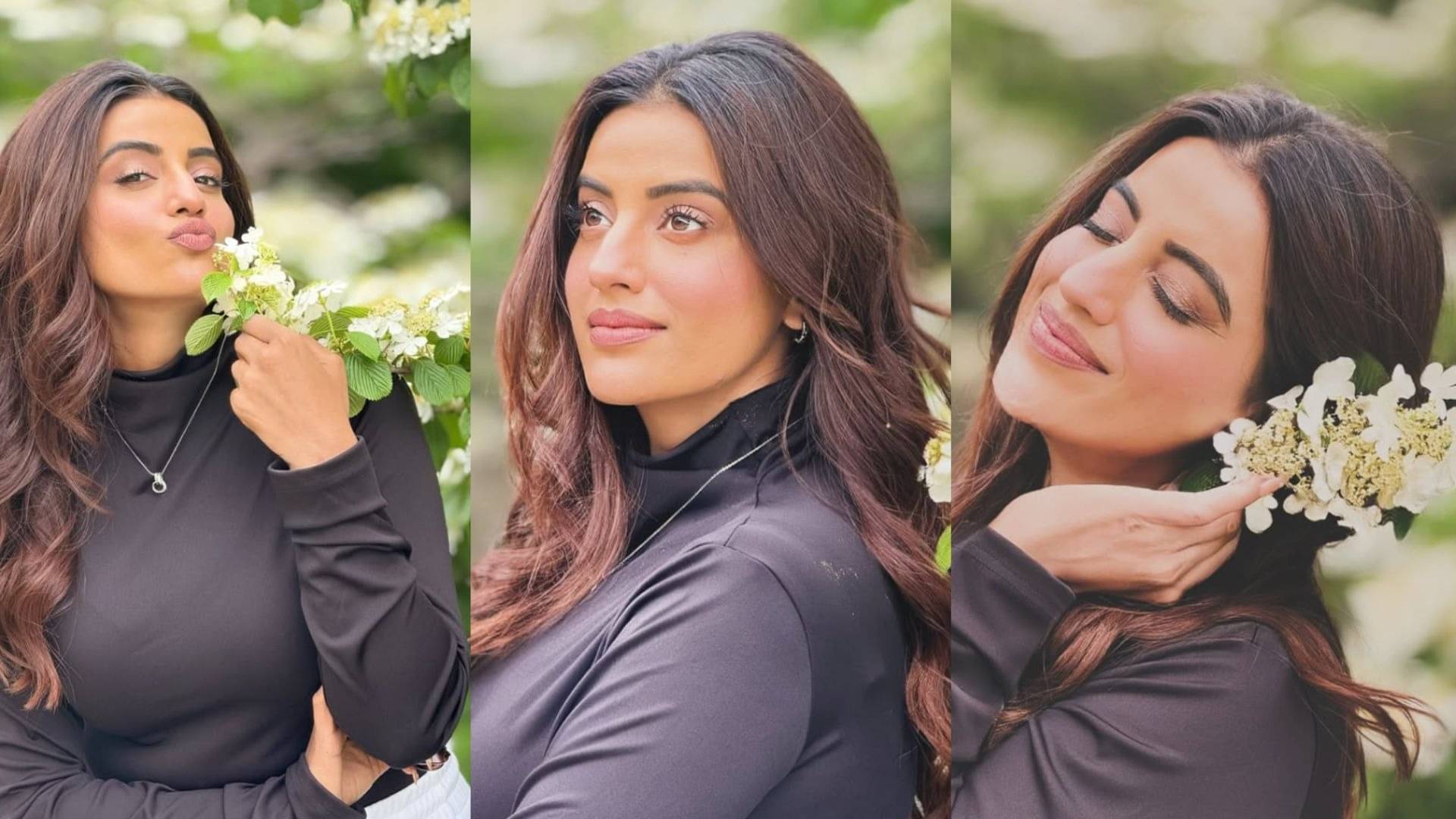 Description of the pic