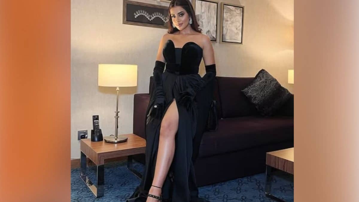 Description of the pic