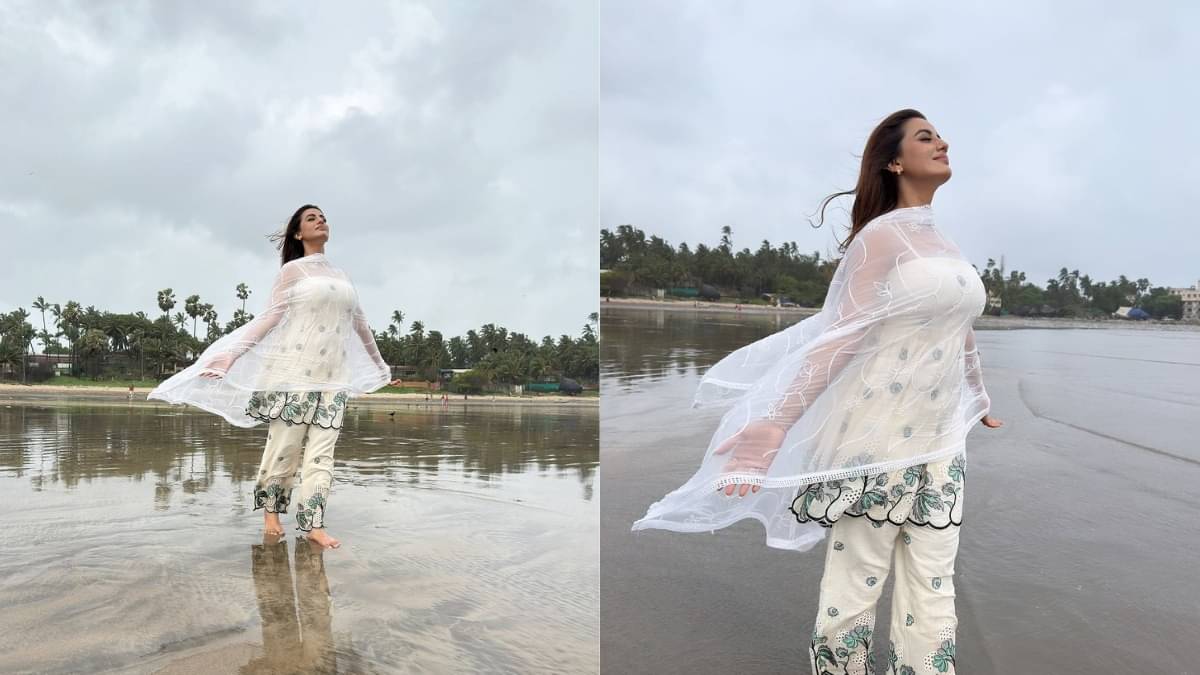 Description of the pic