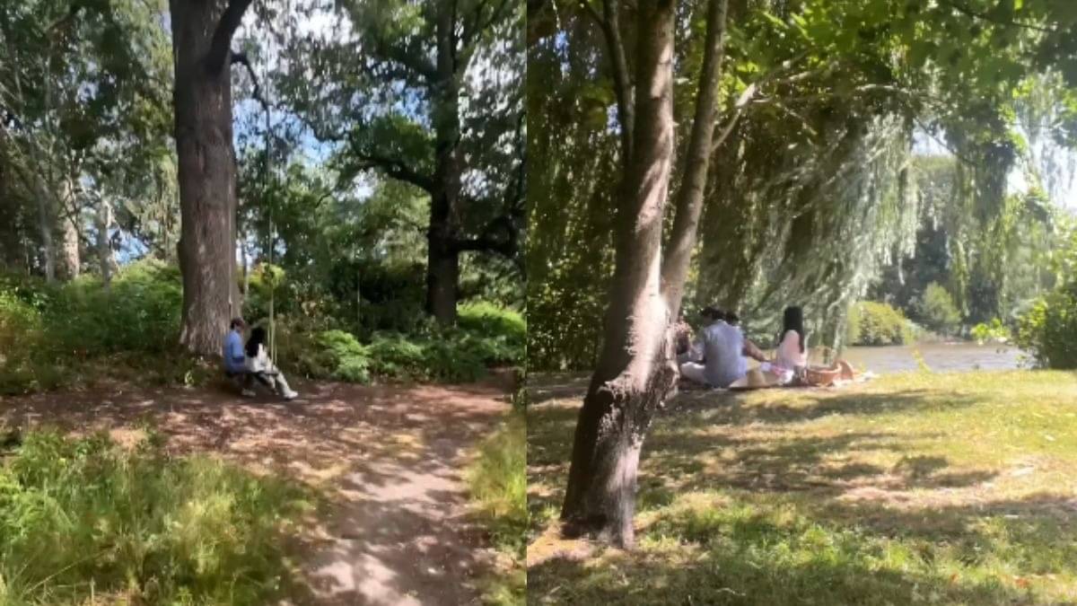 Description of the pic