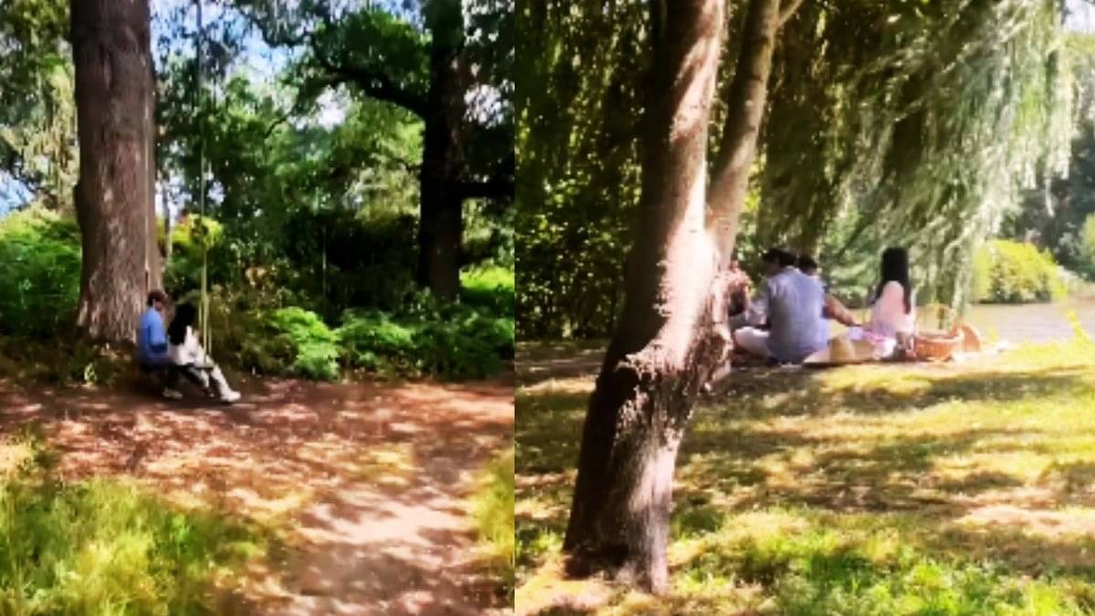 Description of the pic