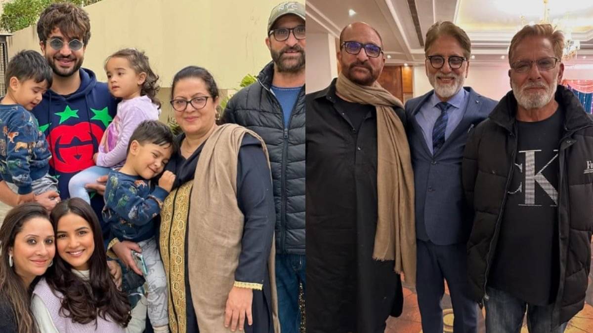 Description of the pic