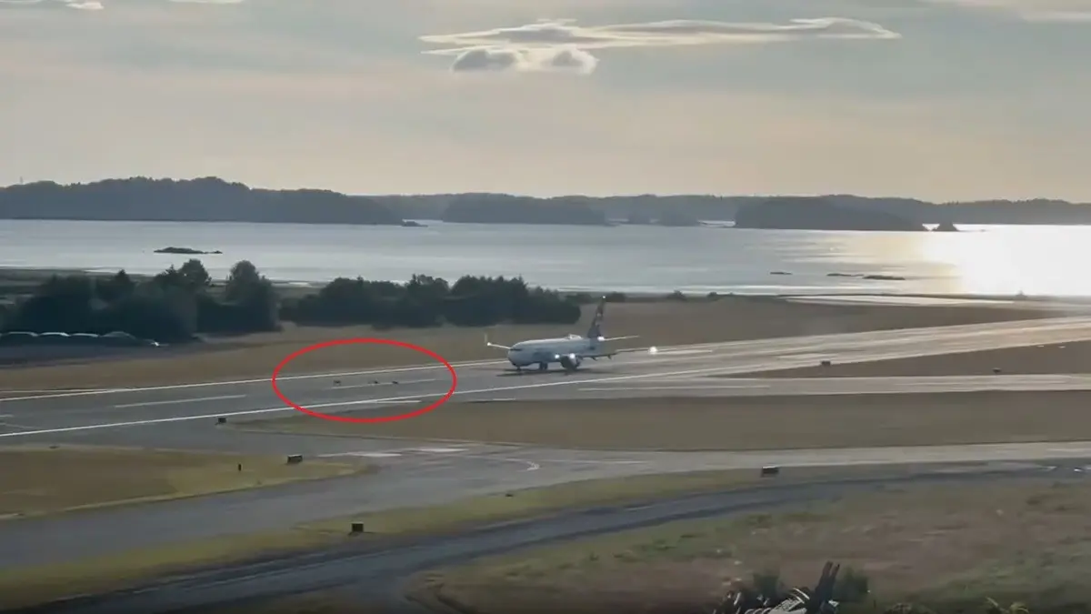 Alaska Airlines Boeing 737 MAX 8 Hits Three Deer During Landing At Kodiak Airport | VIDEO Alaska Airlines flight hits three deer at Kodiak Airport In Alaska