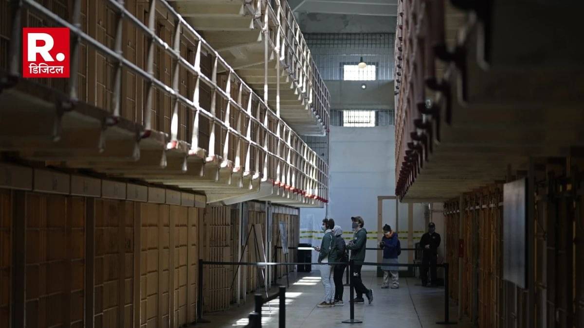 Description of the pic