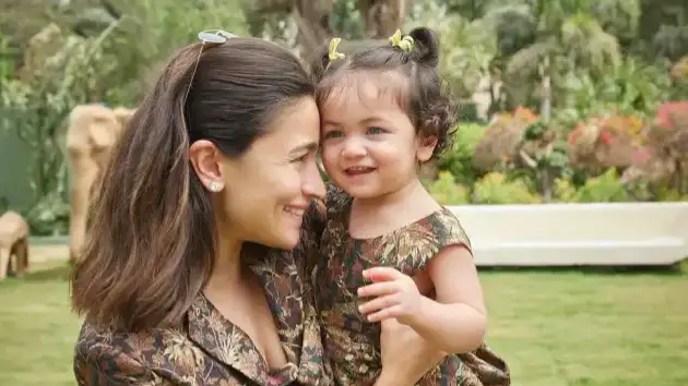 Description of the pic