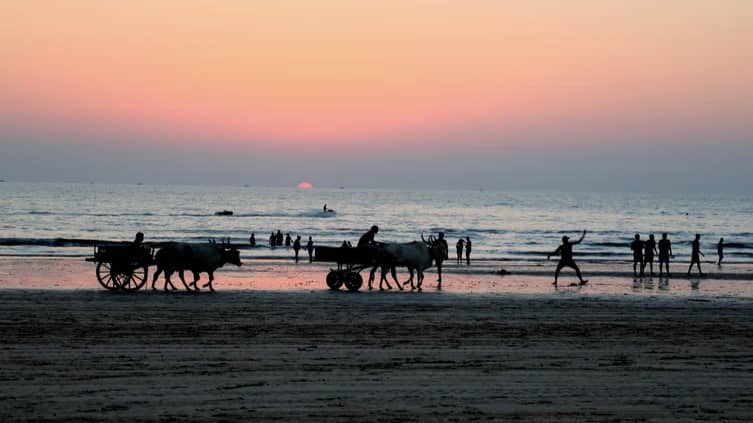 Description of the pic