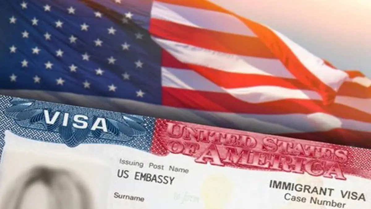 All about the "Einstein visa" hype.