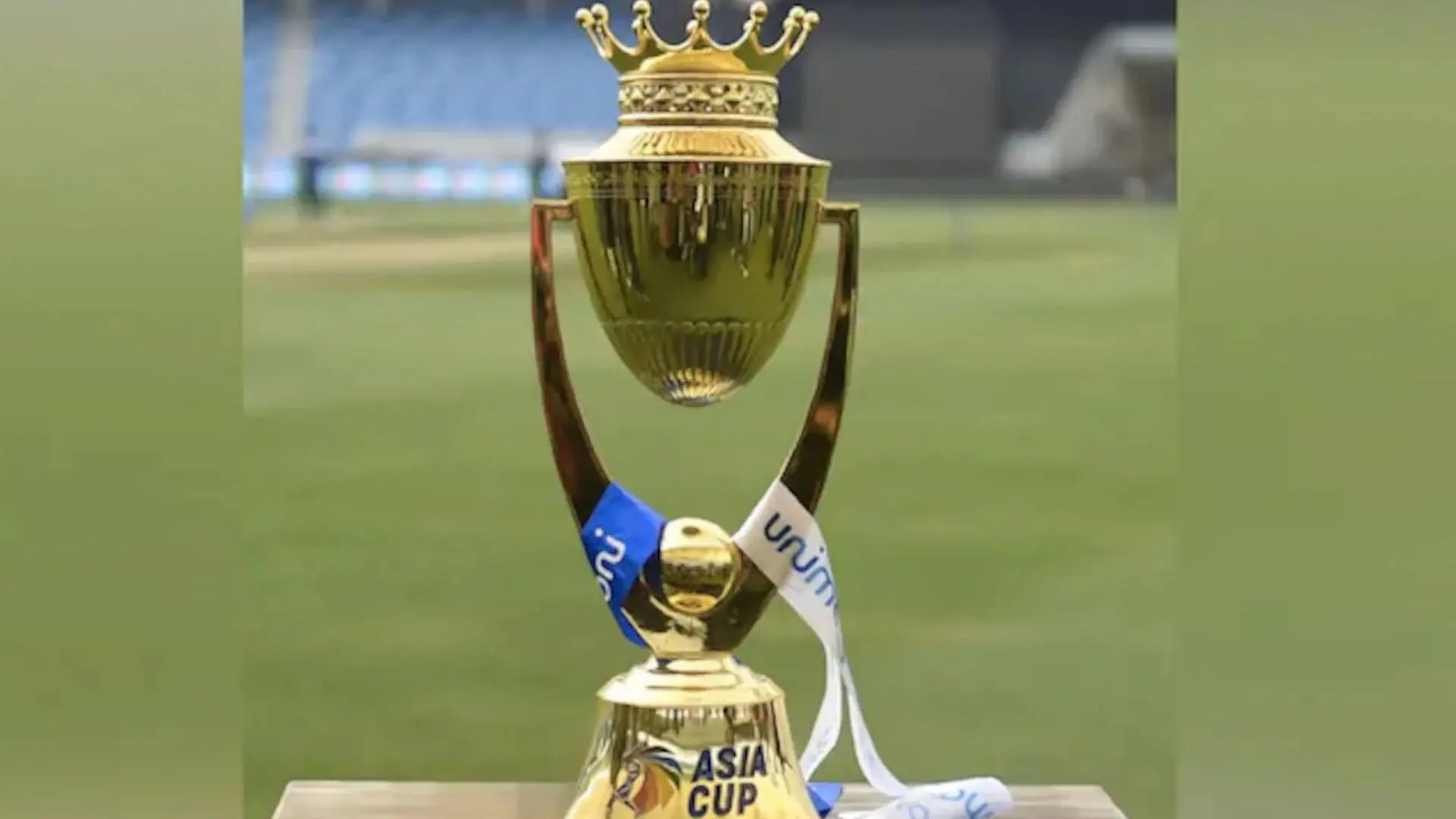 all you need to know about asia cup t20 who scored most runs and who takes most wickets