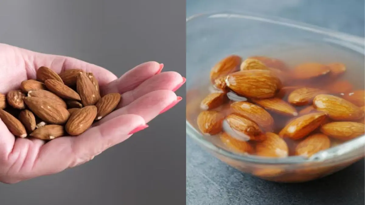 Almonds Benefits During Winter
