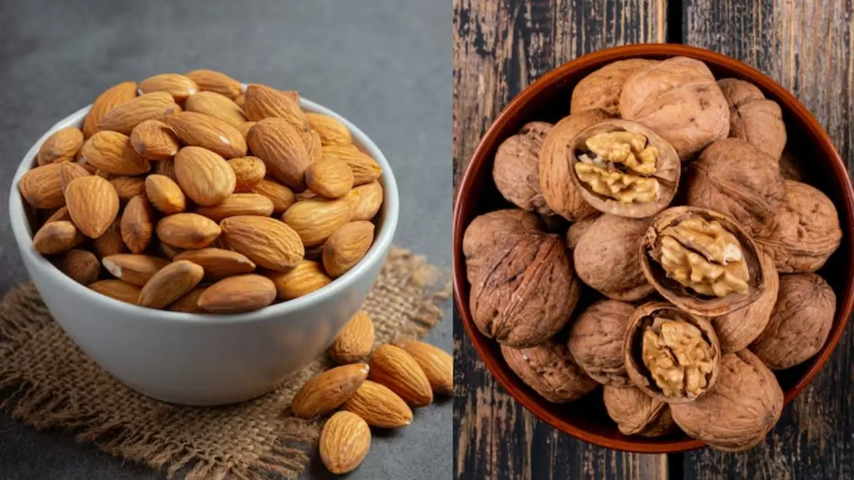 Almonds vs Walnuts: बादाम या अखरोट... सेहत के लिए दोनों में से कौन ज्यादा हेल्दी, जानिए खाने का तरीका almonds or walnuts know benefits right way of eating health tips badam aur akhrot khane ke fayde kya hain