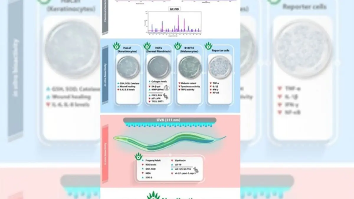 alo kanti patanjali natural anti aging gel that protects skin cells from photoaging