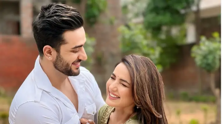 Description of the pic