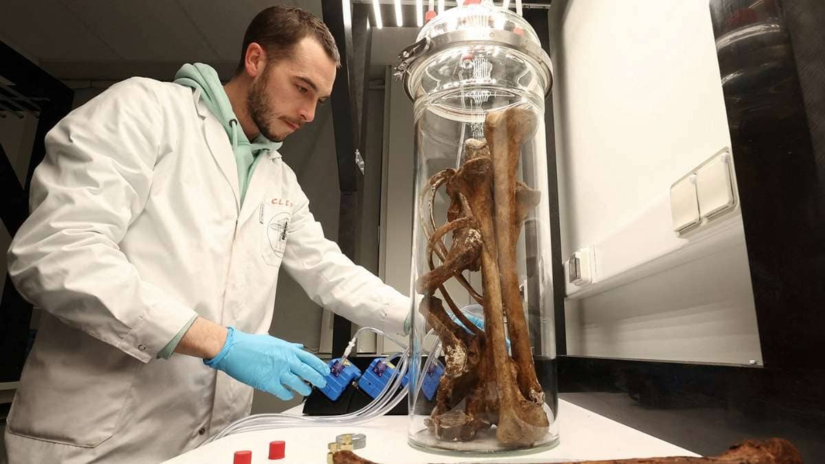 Is Alzheimer's Irreversible? New Study On Mice Finds That Restoring Brain's Energy Balance May Restore Memory