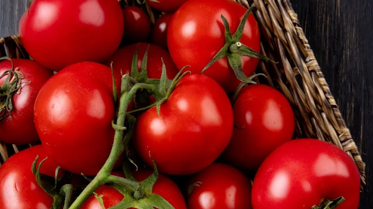 Amazing benefits of eating raw tomatoes