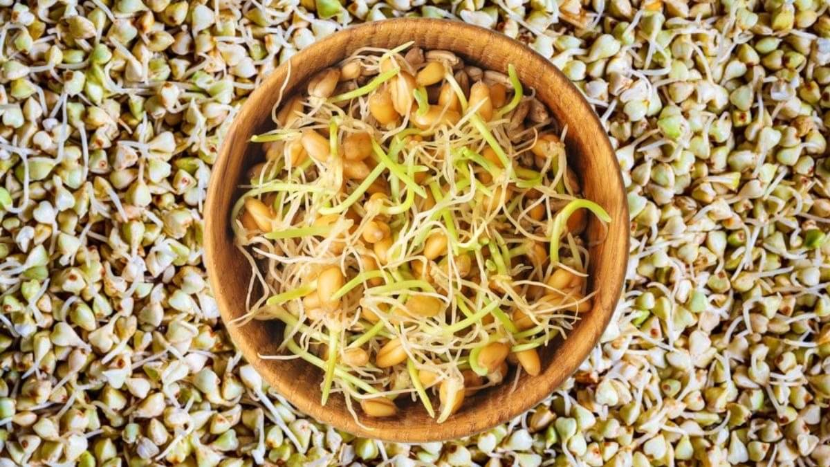 Description of the pic