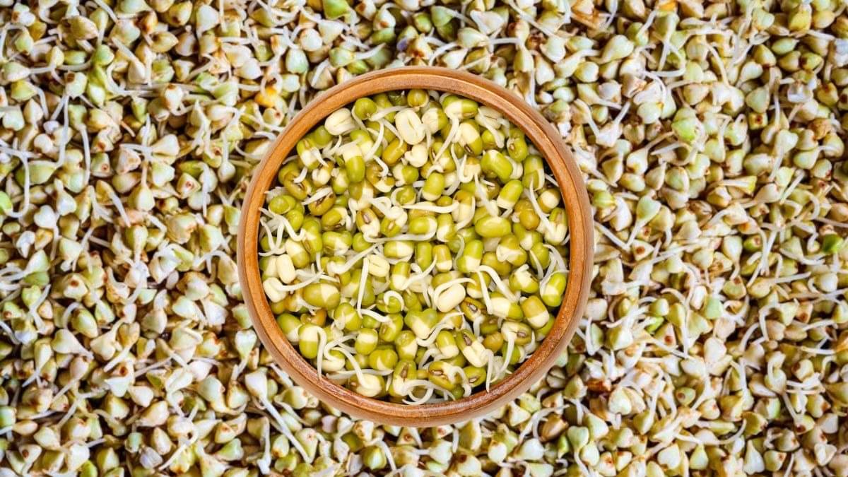 Description of the pic