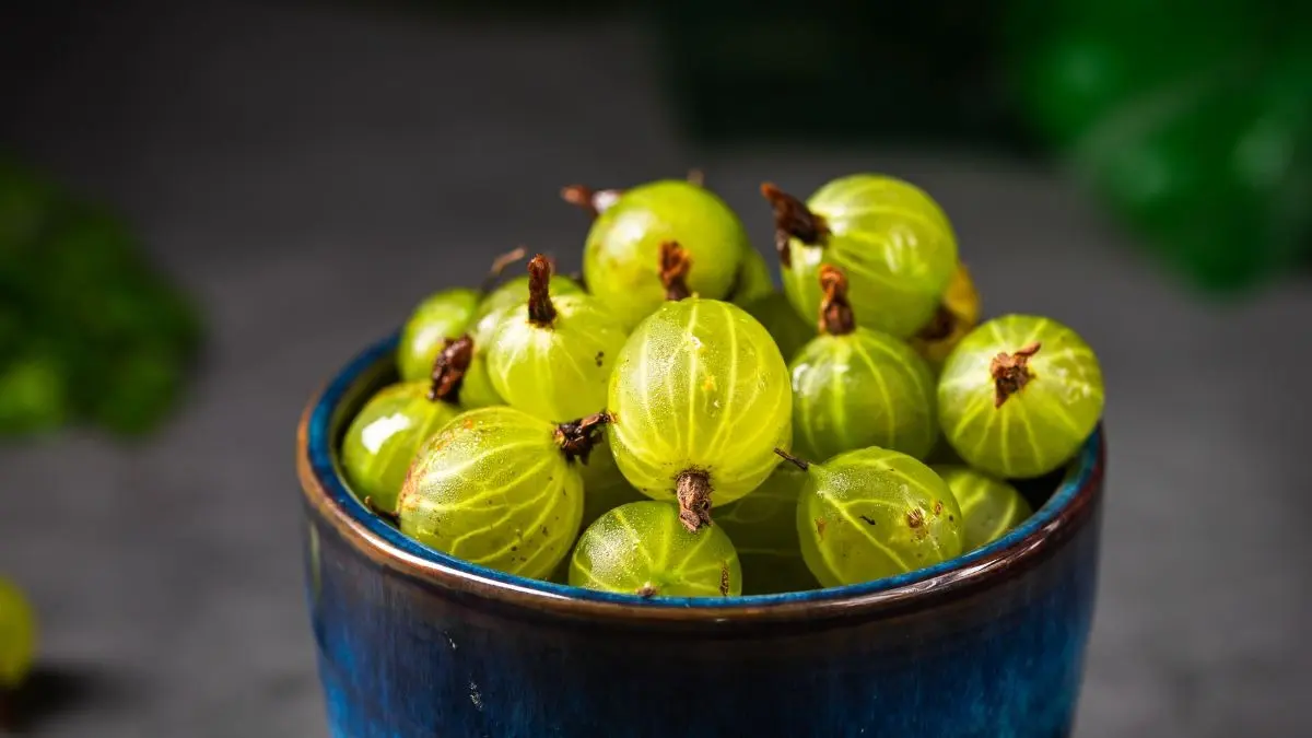 Amla