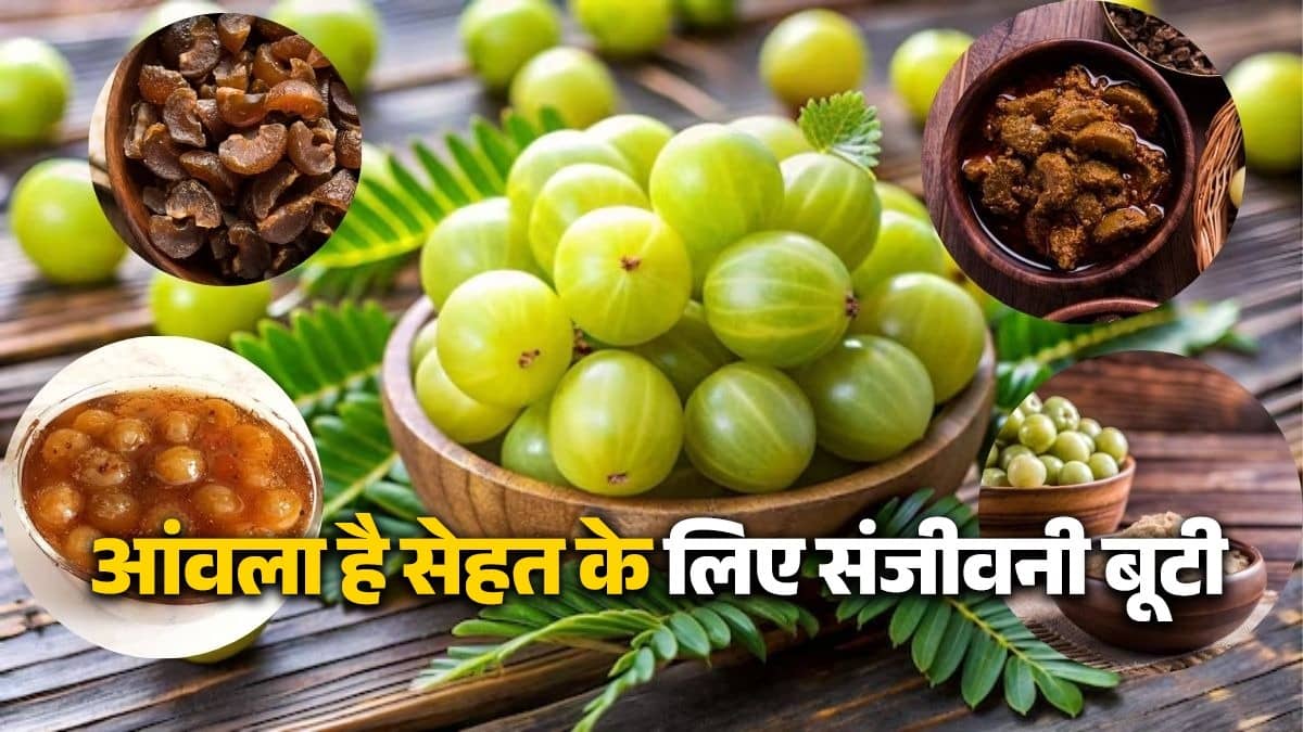 amla-health benefits-and-tasty-ways-to-eat and to add in your diet plan amla khane ke fayde 