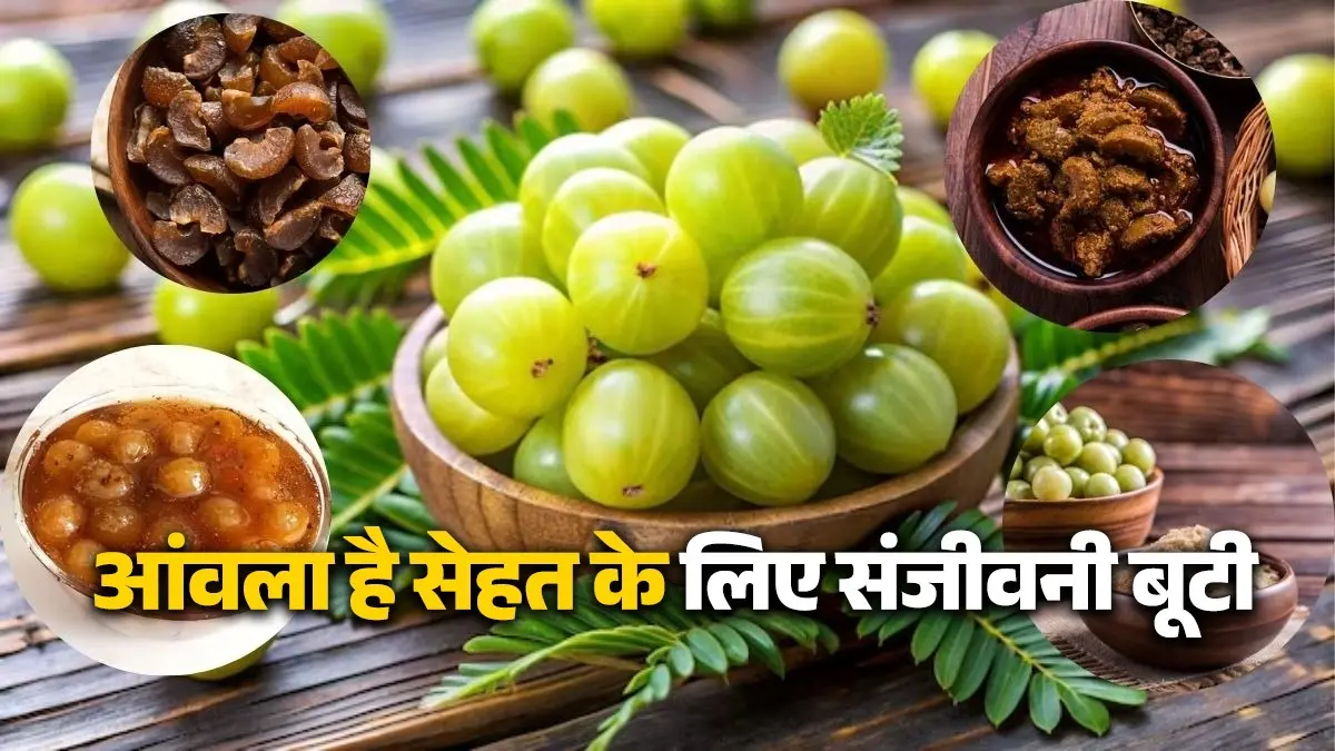 amla-health benefits-and-tasty-ways-to-eat and to add in your diet plan amla khane ke fayde