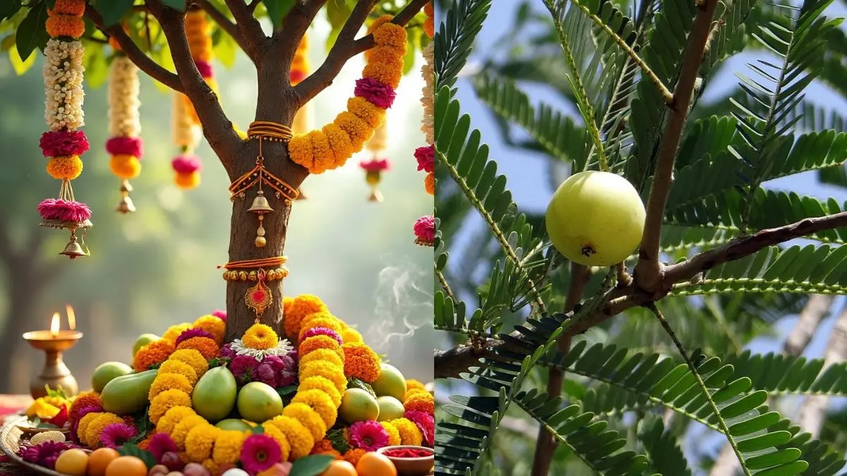 Amla Navami 2025 Vrat Katha