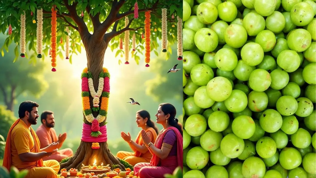 Amla Navami Kab Hai 2025