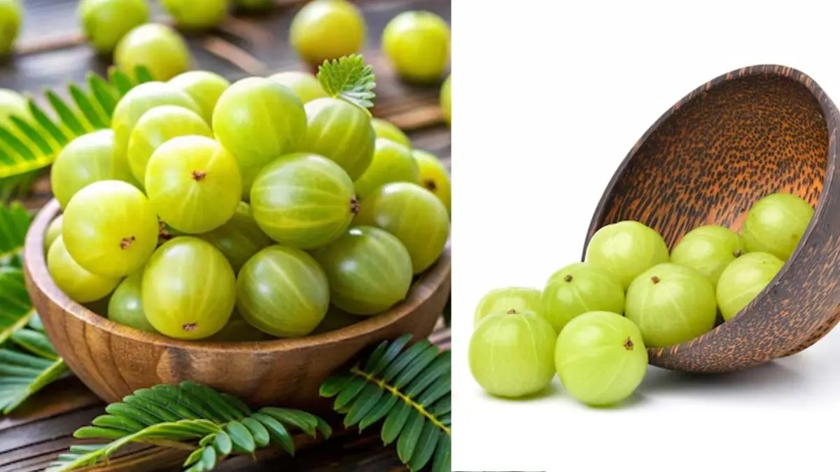Amla Benefits In Winter