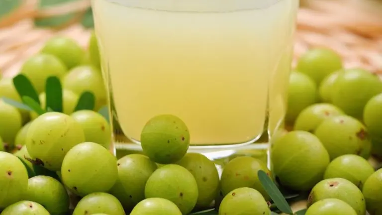 Amla Juice Benefits: खाली पेट जूस पीने के क्या हैं फायदे? 1 महीने में दिख जाएगा आपकी सेहत पर असर Amla Water Benefits in hindi
