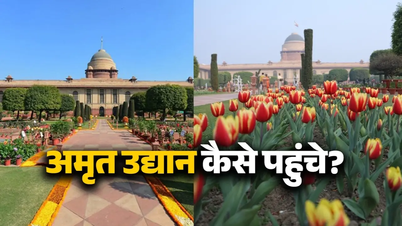 Amrit Udhyan: कल से खुलने जा रहा है आम जनता के लिए राष्ट्रपति भवन का अमृत उद्यान; कहां मिलेगा टिकट, कौन सा नजदीकी मेट्रो स्टेशन? जानिए सबकुछ Amrit Udhyan Timing Ticket metro Details