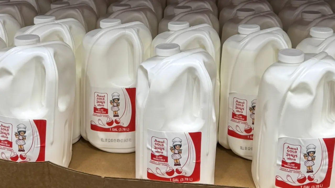 Amul Milk Bottles Spotted at Costco in Texas