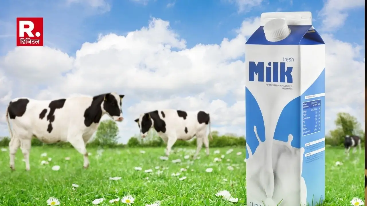 Amul mother dairy milk price drop, know latest rate.