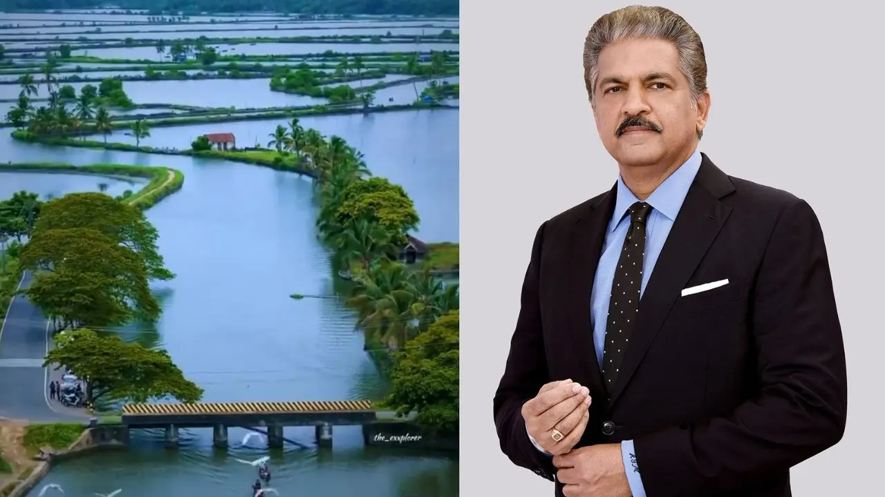 Anand Mahindra on Kadamakkudy