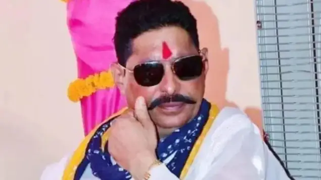 Description of the pic