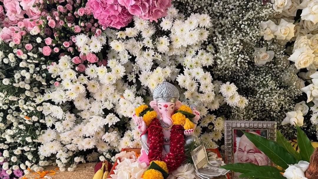 Description of the pic