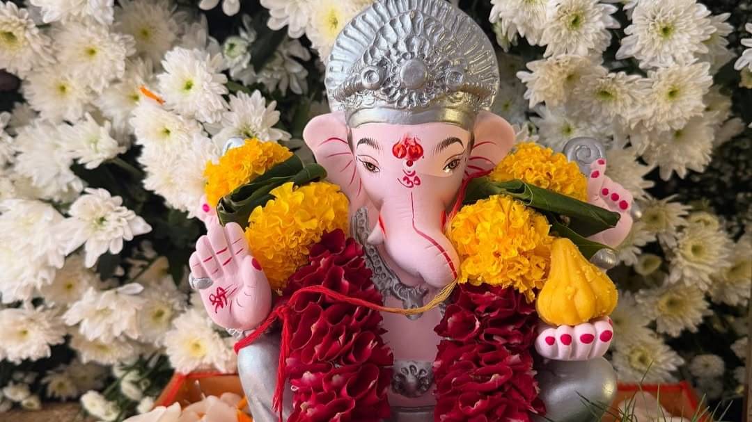 Description of the pic