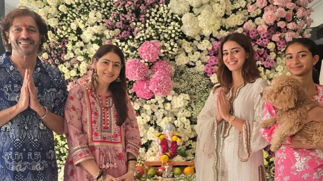 Description of the pic