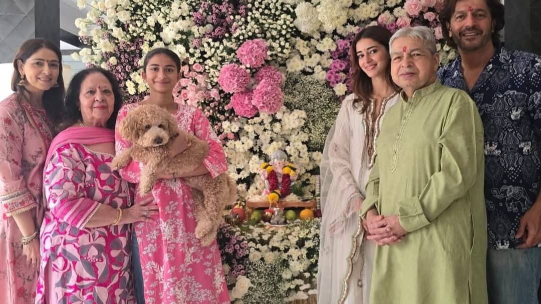 Description of the pic