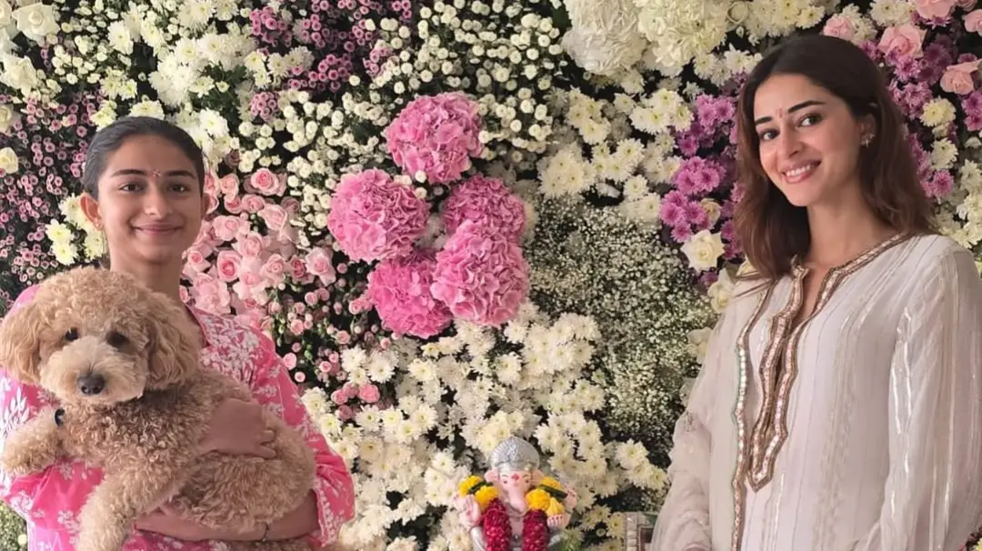 Description of the pic