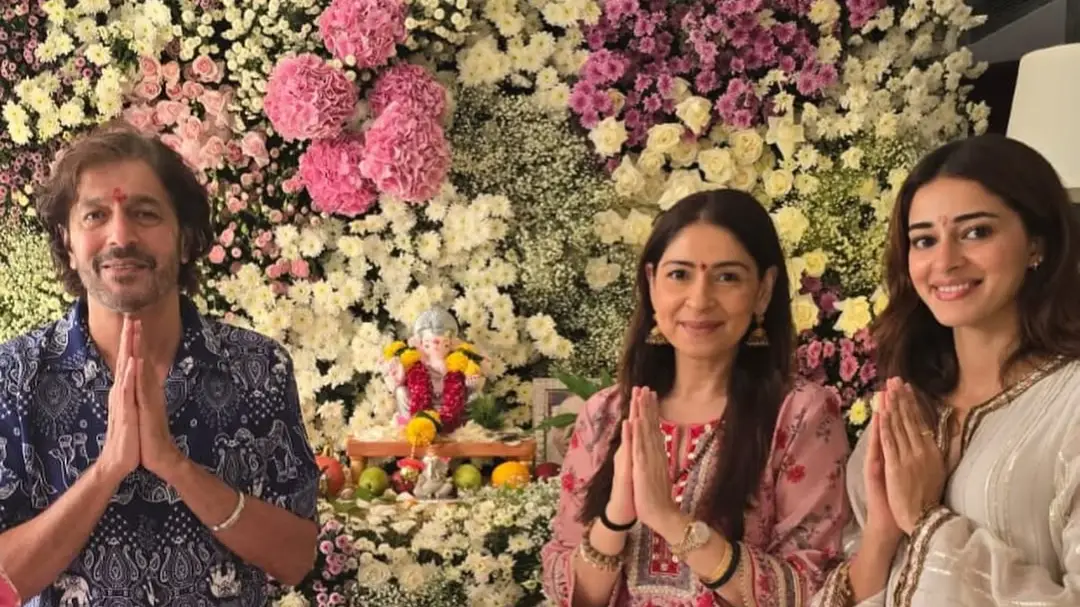 Description of the pic