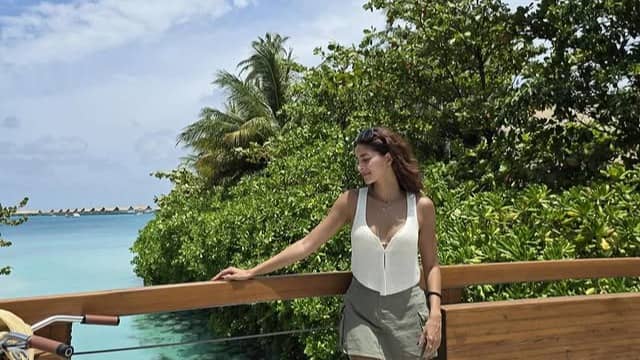 Description of the pic