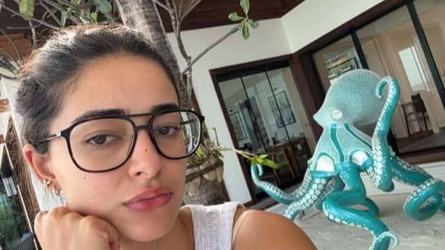 Description of the pic